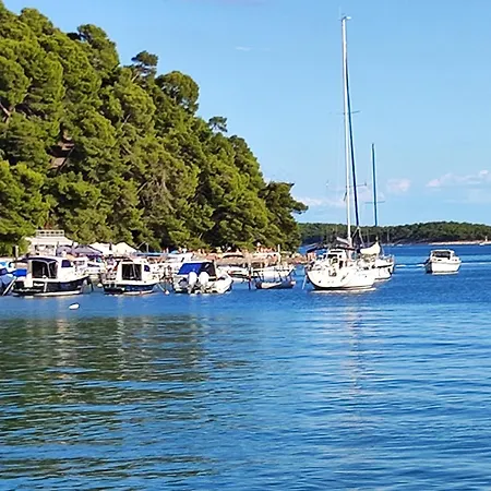 Stellar Appartement Palit