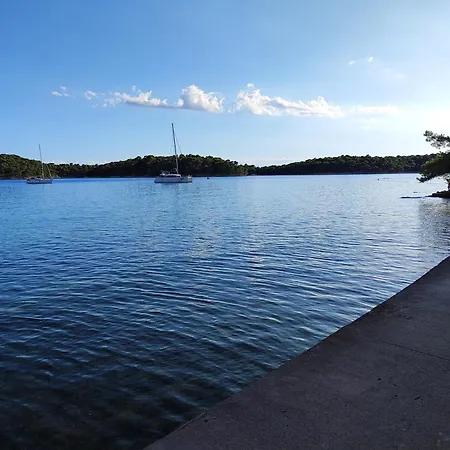 Stellar Apartament Palit