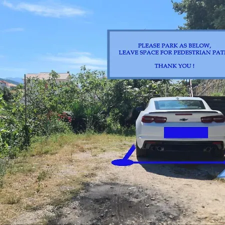 Apartament Stellar *